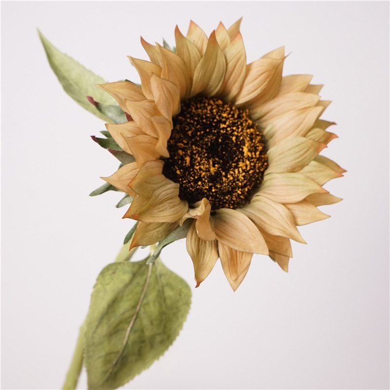 Moisturizing simulated sunflower