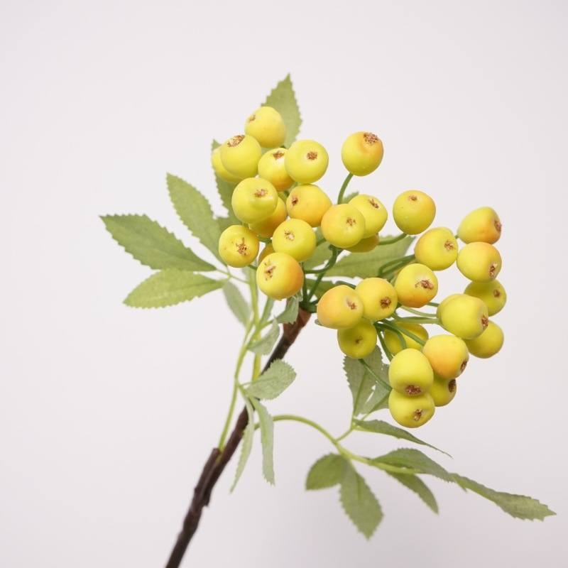 Simulated blueberries