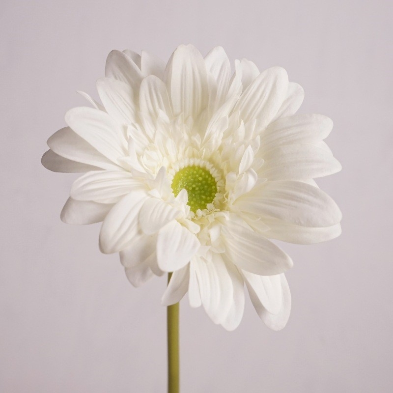 Hand-feeling moisturizing simulated gerbera