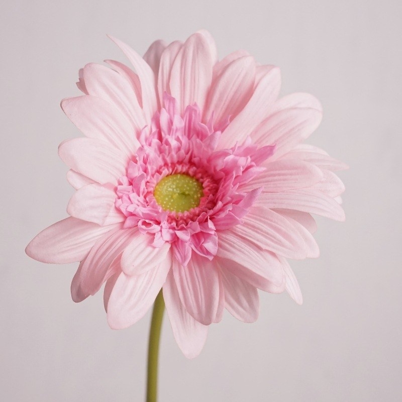 Hand-feeling moisturizing simulated gerbera