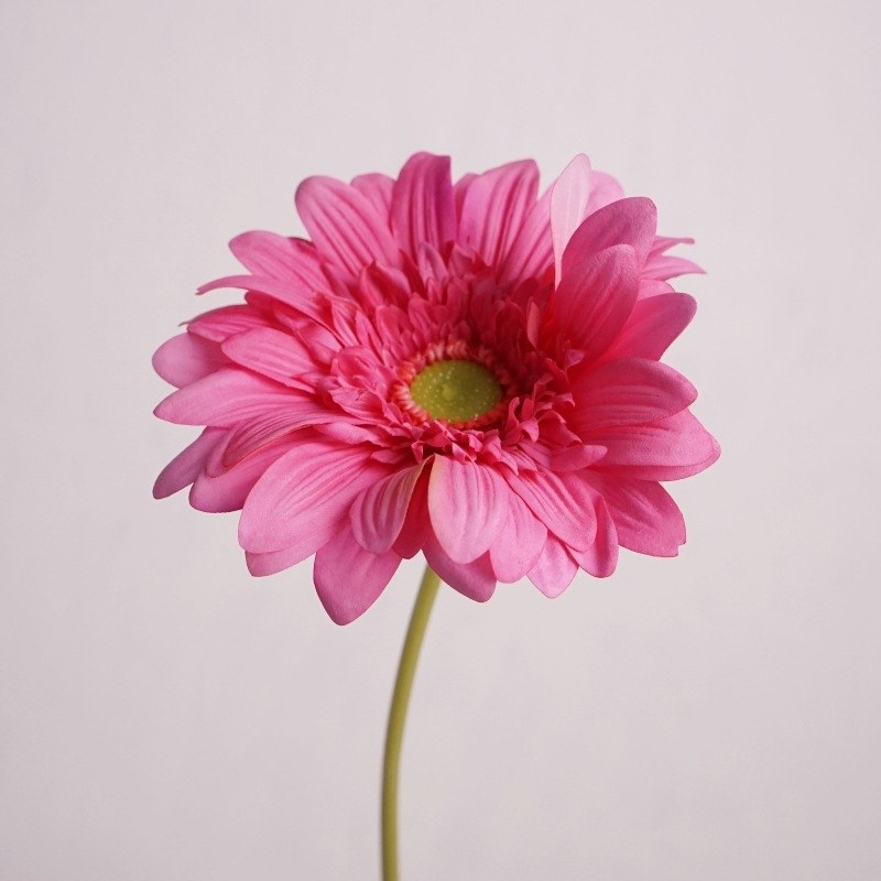 Hand-feeling moisturizing simulated gerbera