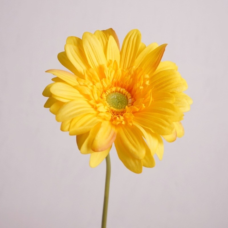 Hand-feeling moisturizing simulated gerbera