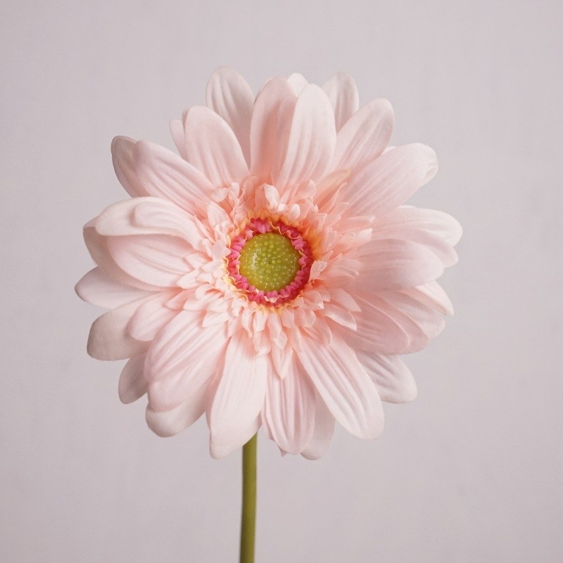Hand-feeling moisturizing simulated gerbera