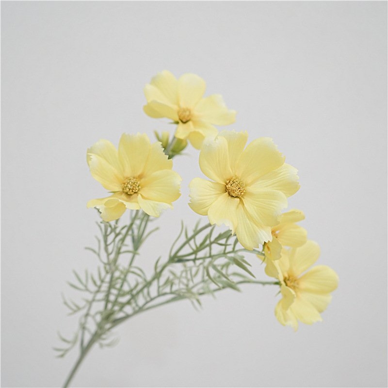 Artificial cosmos flowers