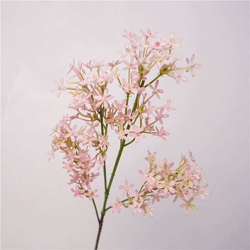 Simulated five-pointed star flower