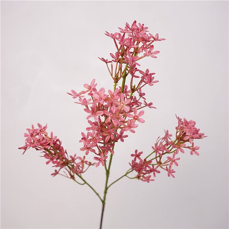 Simulated five-pointed star flower
