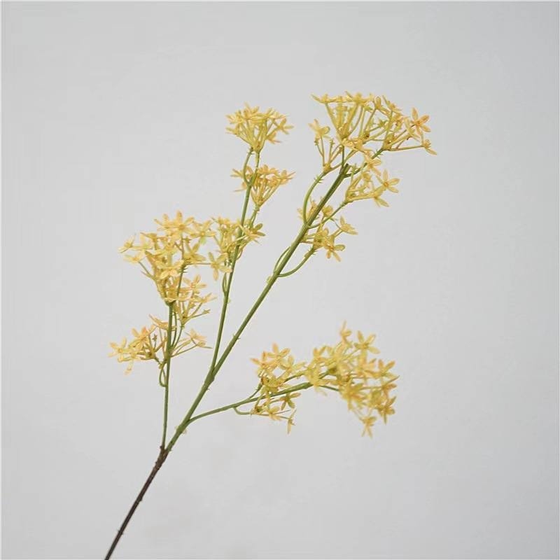 Simulated five-pointed star flower
