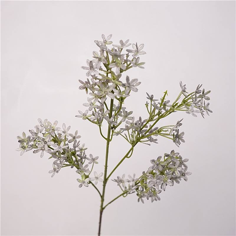 Simulated five-pointed star flower