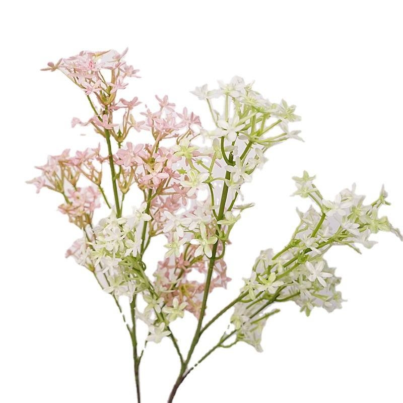 Simulated five-pointed star flower
