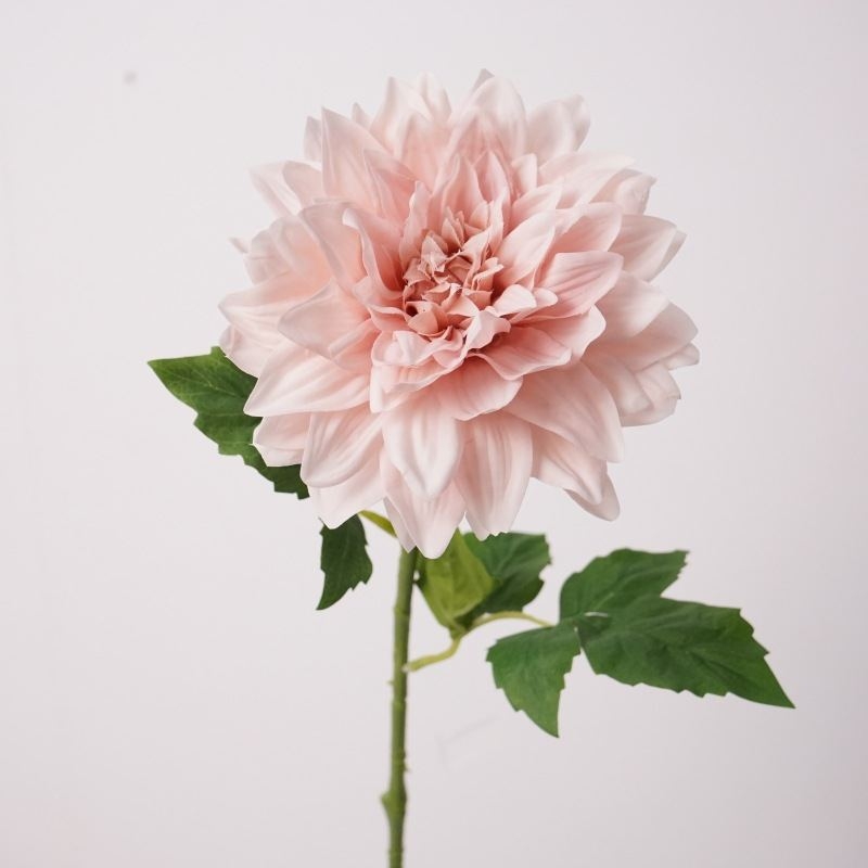 Simulated feel moisturizing dahlia