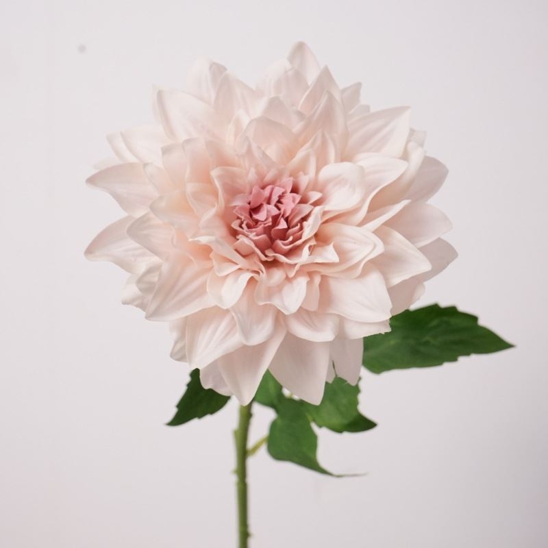 Simulated feel moisturizing dahlia