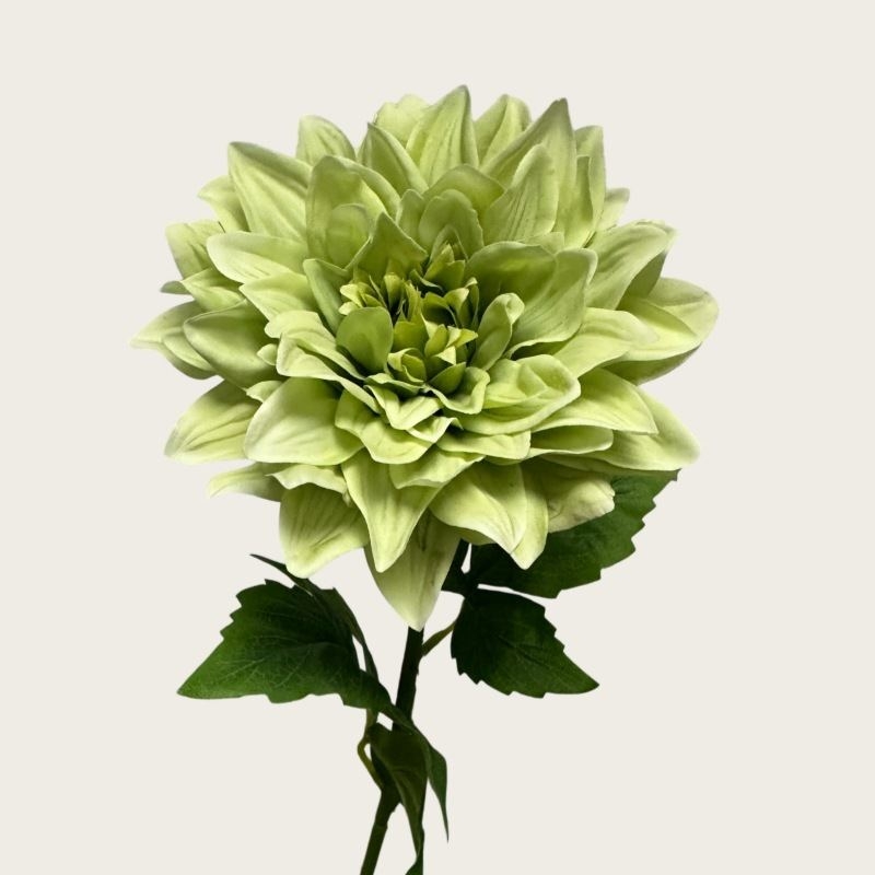 Simulated feel moisturizing dahlia