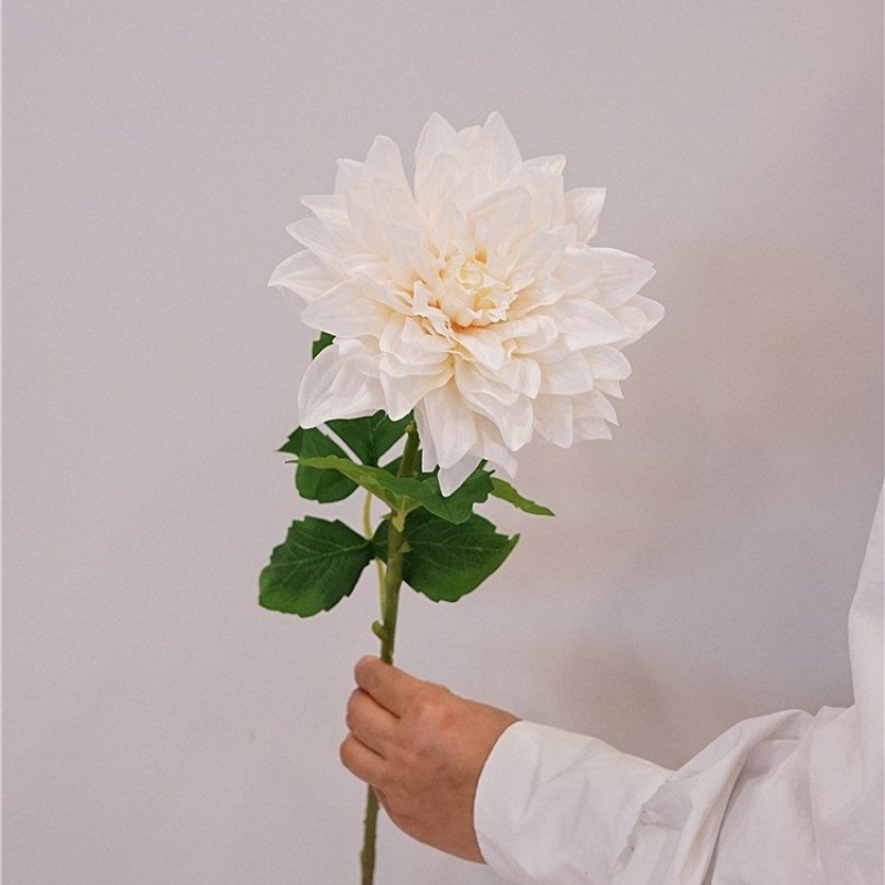 Simulated feel moisturizing dahlia