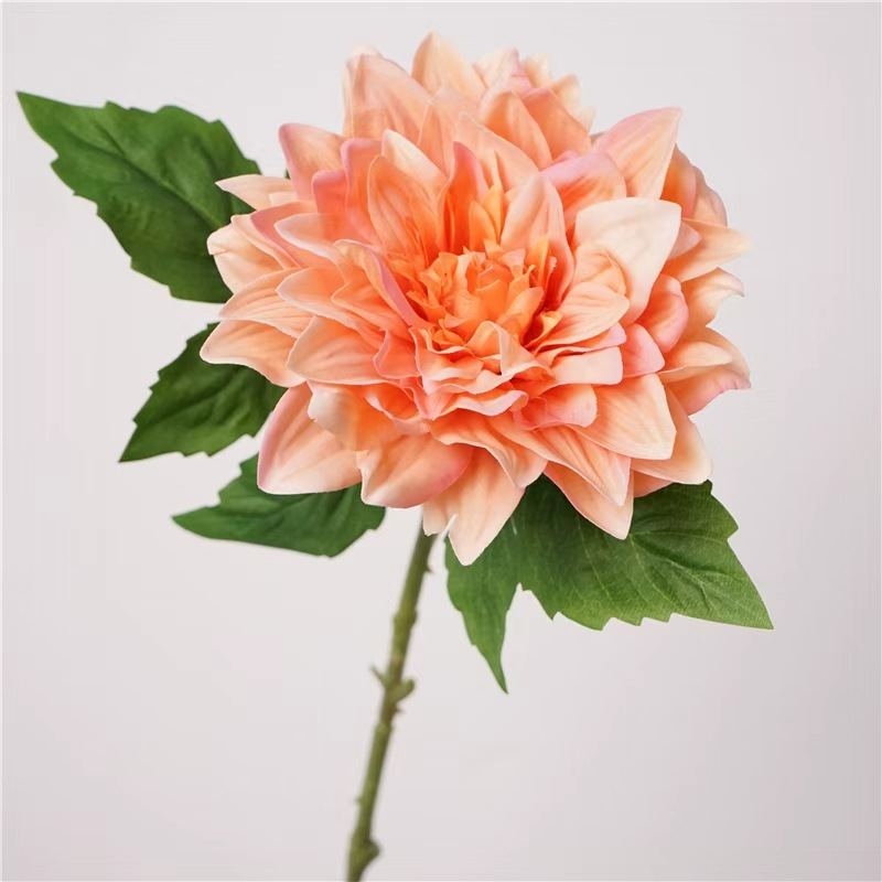 Simulated feel moisturizing dahlia