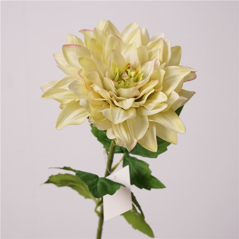Simulated feel moisturizing dahlia