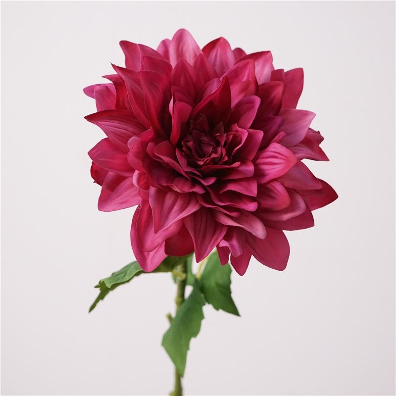 Simulated feel moisturizing dahlia