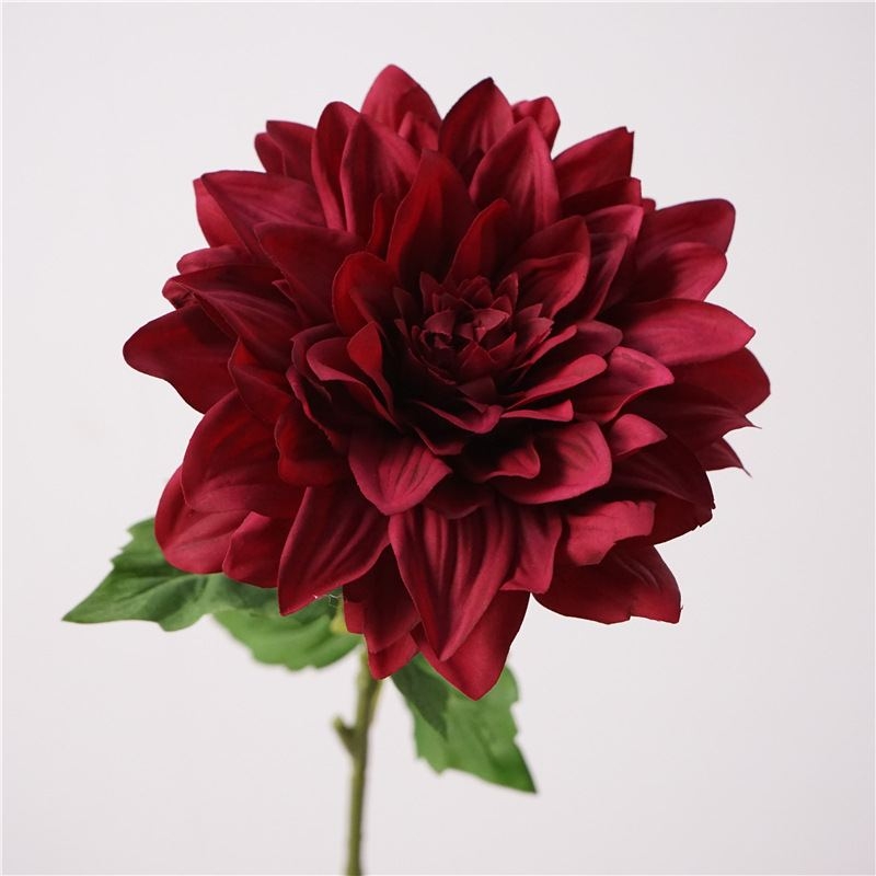 Simulated feel moisturizing dahlia