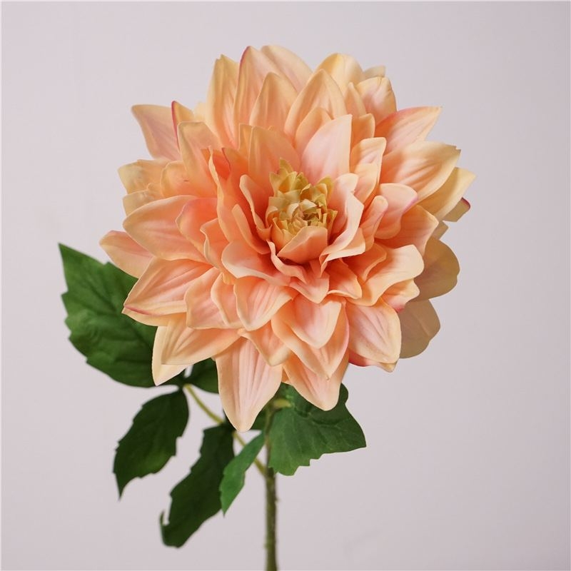 Simulated feel moisturizing dahlia