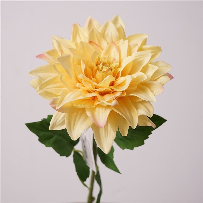Simulated feel moisturizing dahlia
