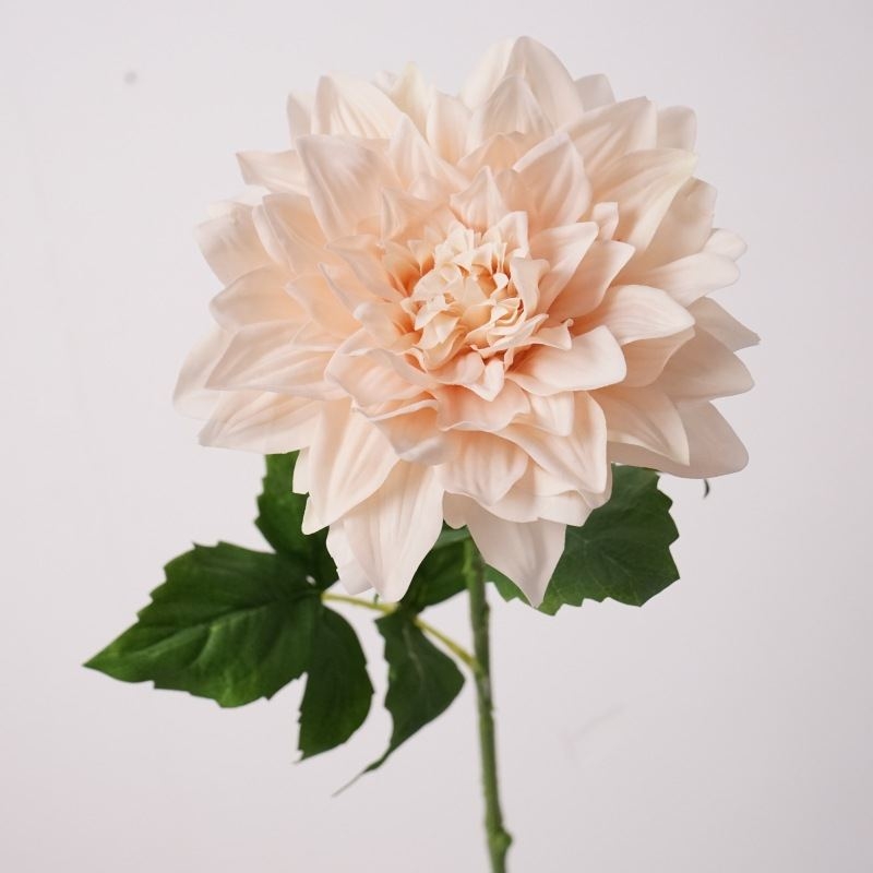 Simulated feel moisturizing dahlia