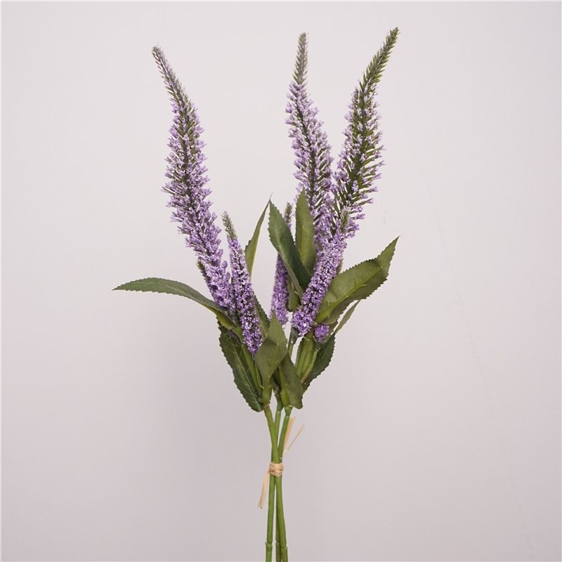 Simulated Clary Sage