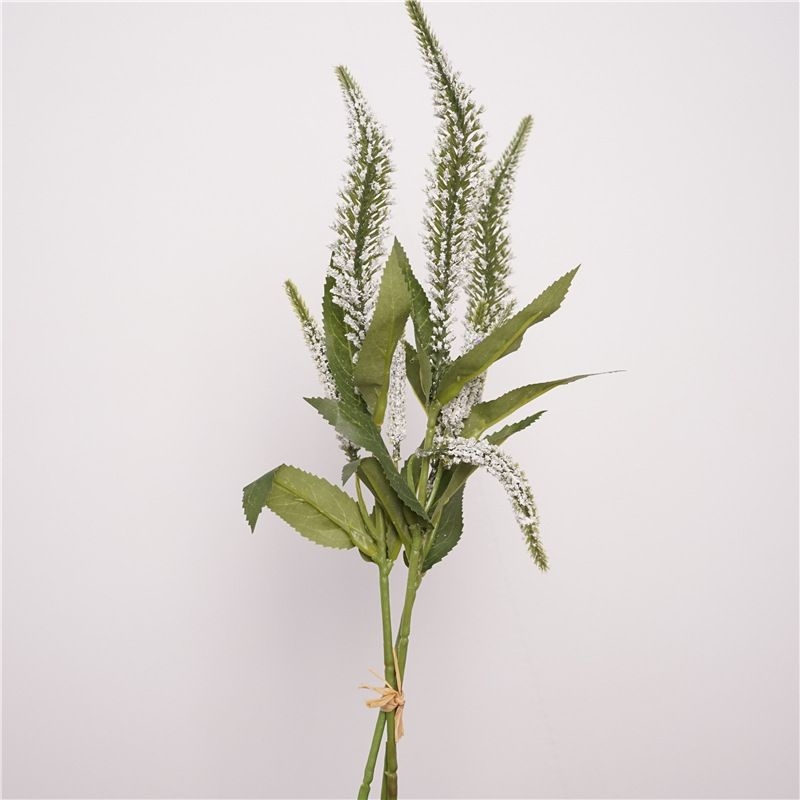 Simulated Clary Sage