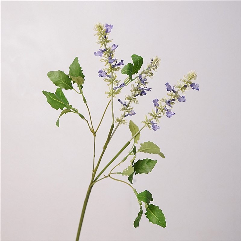 Simulated 3-forked sage
