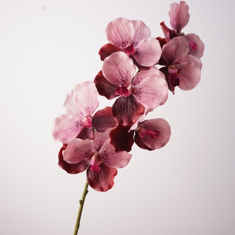 Simulated feel moisturizing Vanda orchid