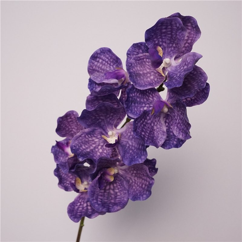 Simulated feel moisturizing Vanda orchid