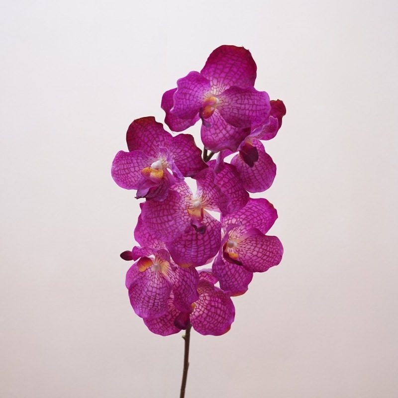 Simulated feel moisturizing Vanda orchid