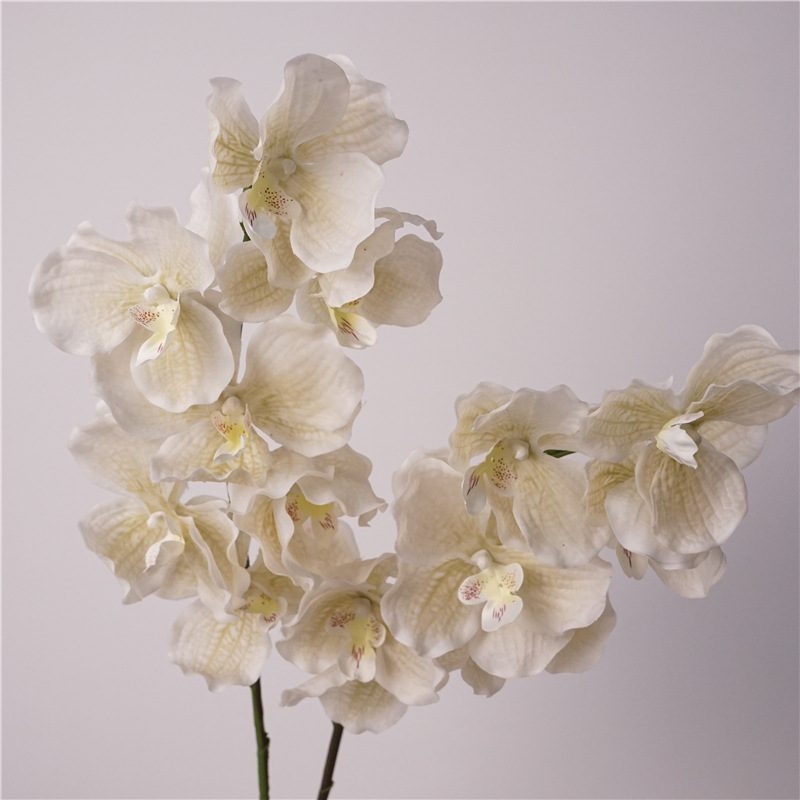 Simulated feel moisturizing Vanda orchid