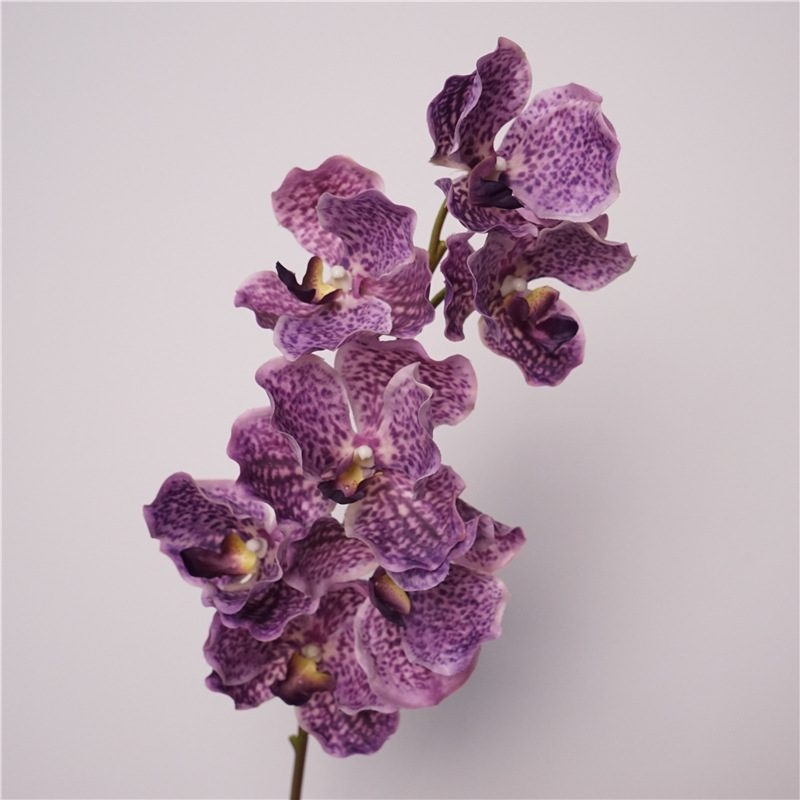 Simulated feel moisturizing Vanda orchid