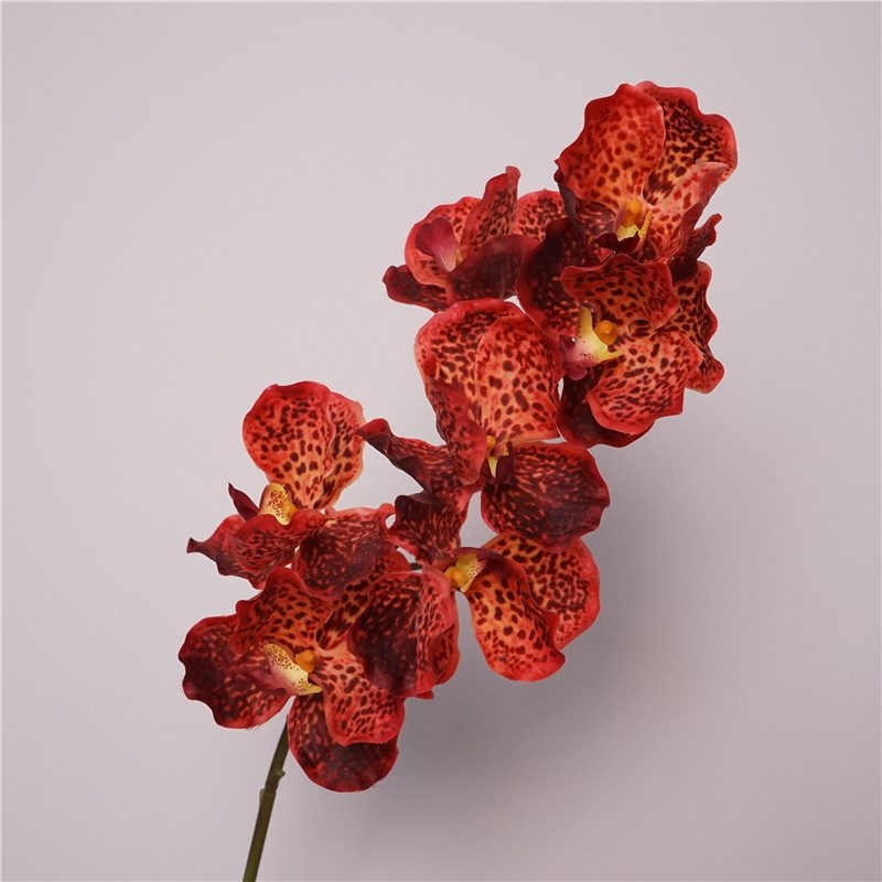 Simulated feel moisturizing Vanda orchid