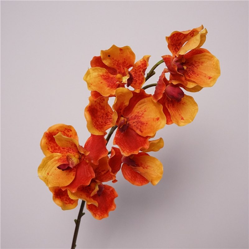 Simulated feel moisturizing Vanda orchid