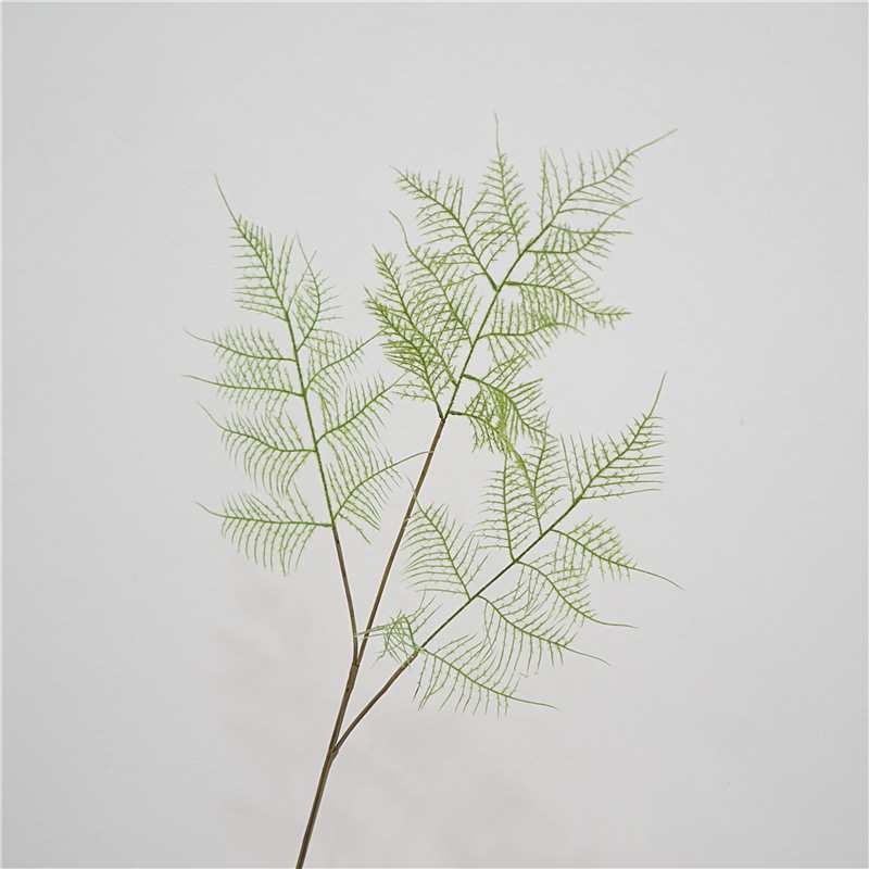 Artificial Asparagus setaceus