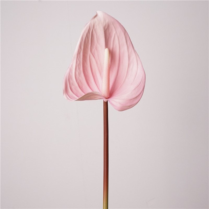 Artificial Anthurium