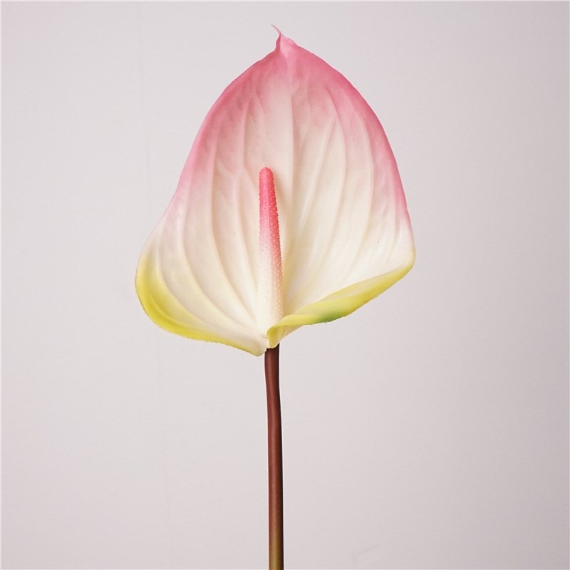 Artificial Anthurium