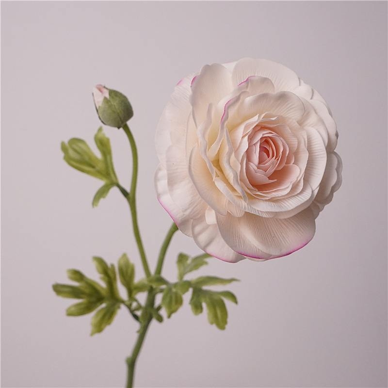 Moisturizing Simulated Ranunculus