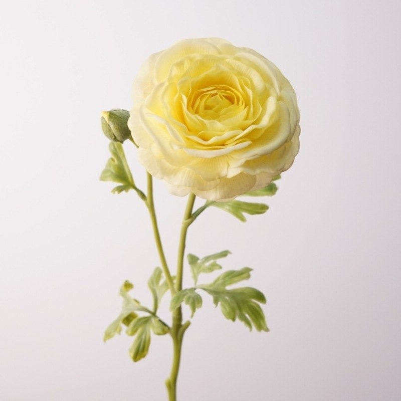 Moisturizing Simulated Ranunculus