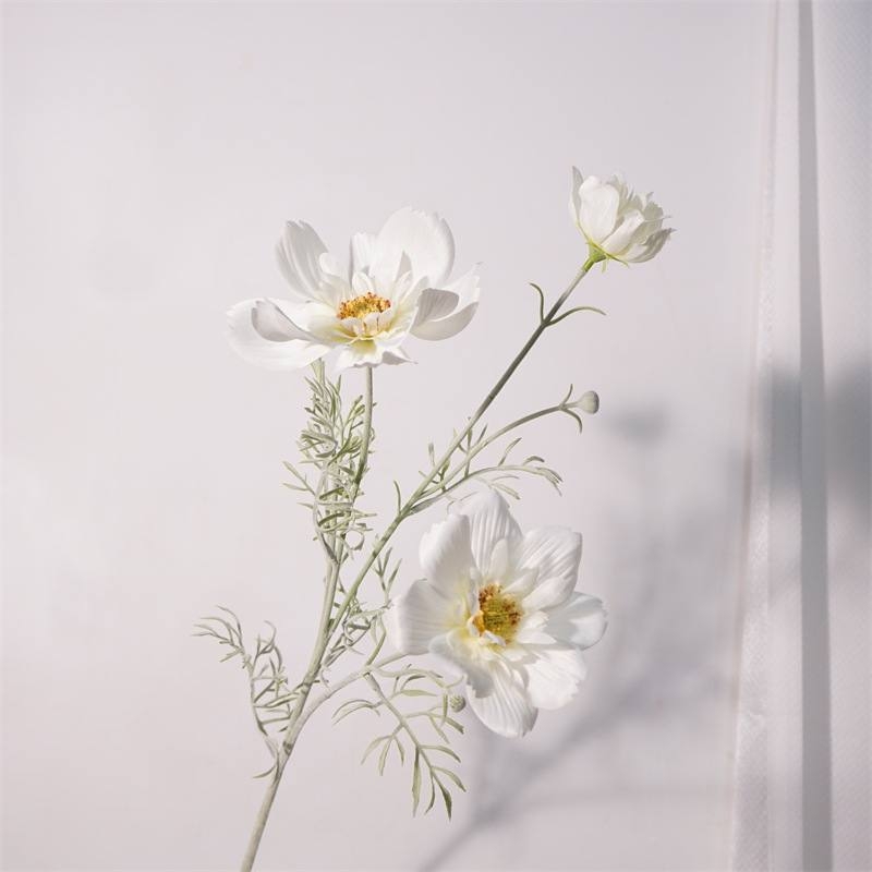 Simulated cosmos flowers