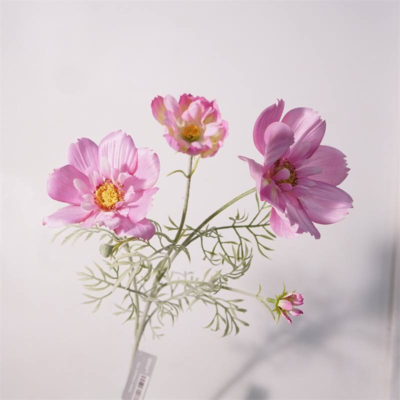 Simulated cosmos flowers