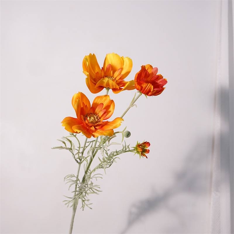 Simulated cosmos flowers