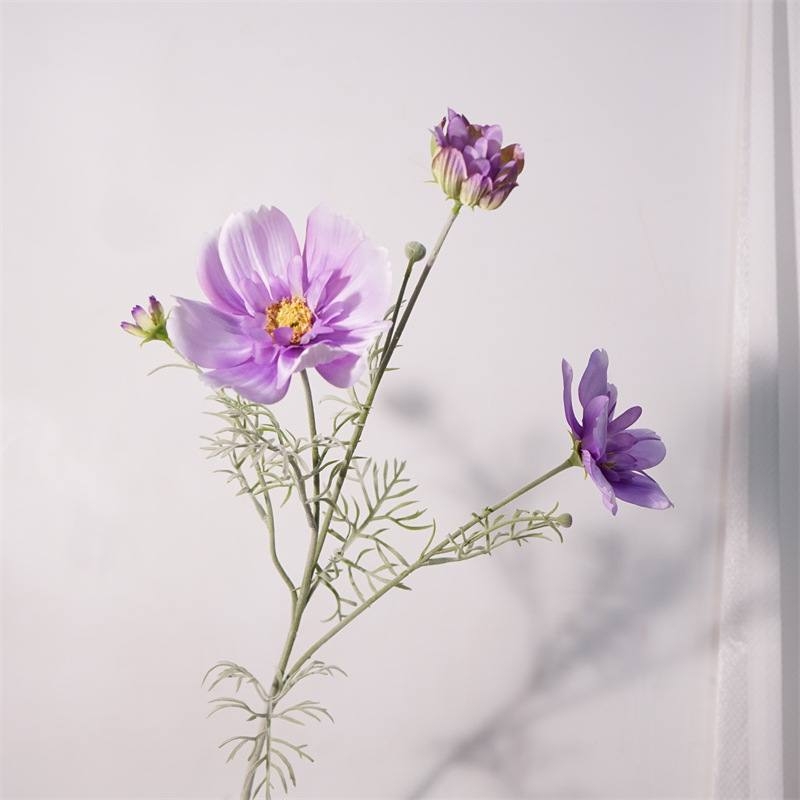 Simulated cosmos flowers