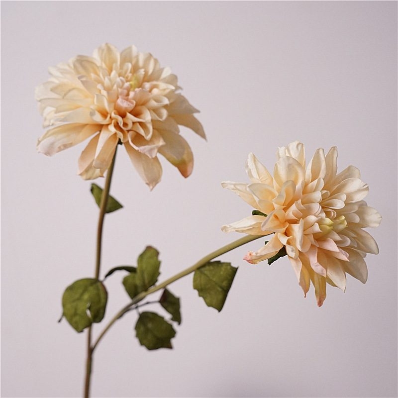 Artificial dahlia with two flowers