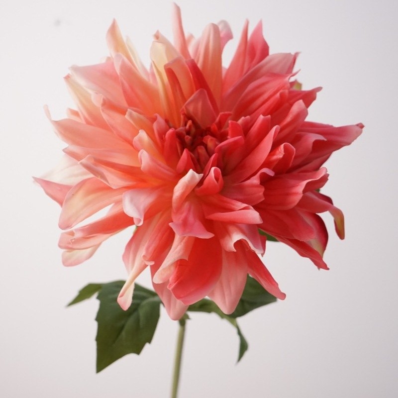 Moisturizing Faux Dahlia
