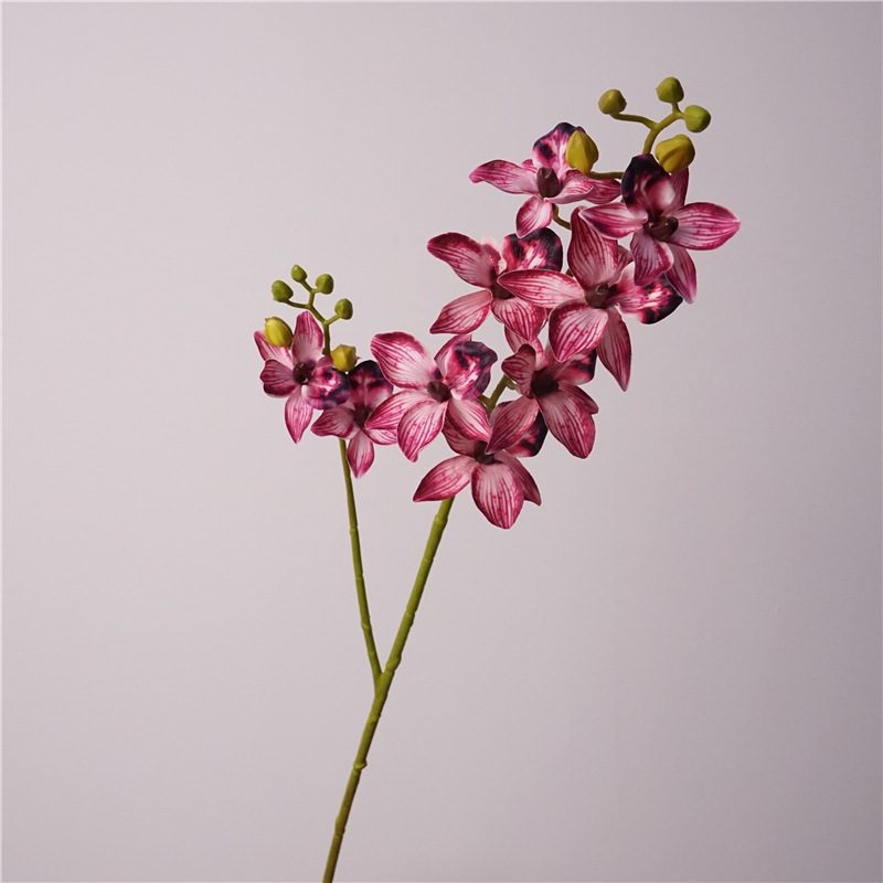 Fakce Phalaenopsis orchid with two branches