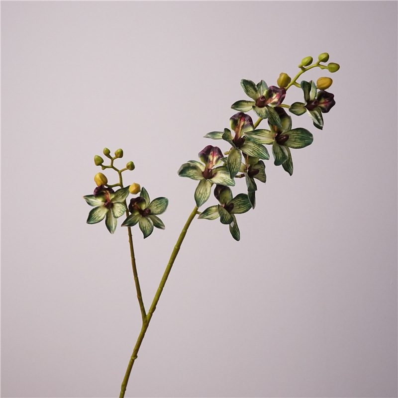 Fakce Phalaenopsis orchid with two branches