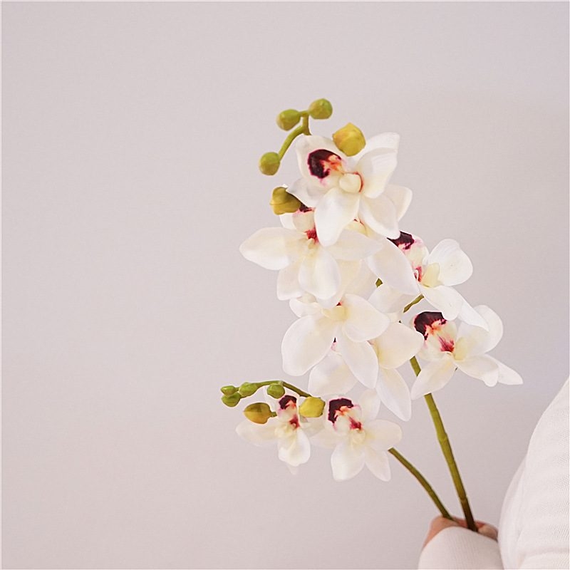 Fakce Phalaenopsis orchid with two branches