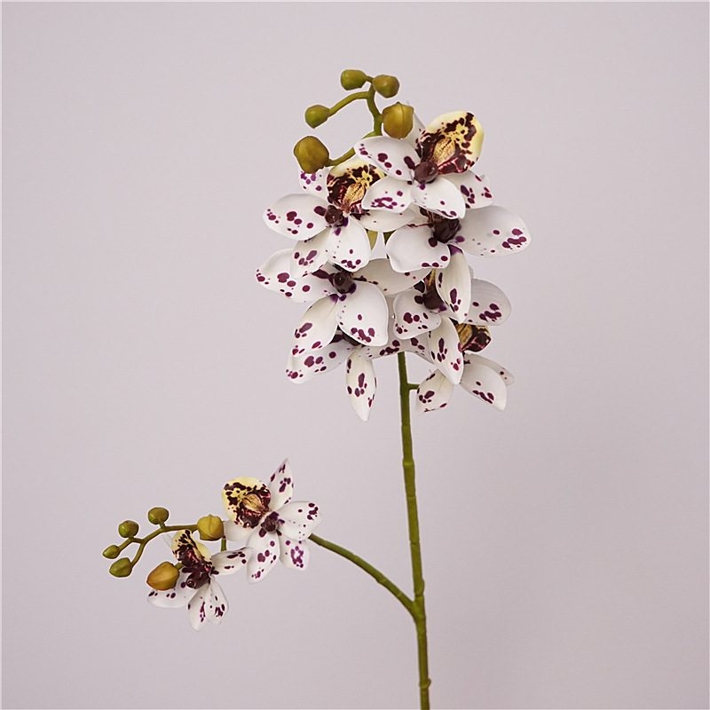 Fakce Phalaenopsis orchid with two branches