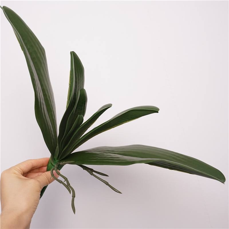 Seven artificial Phalaenopsis orchid leaves